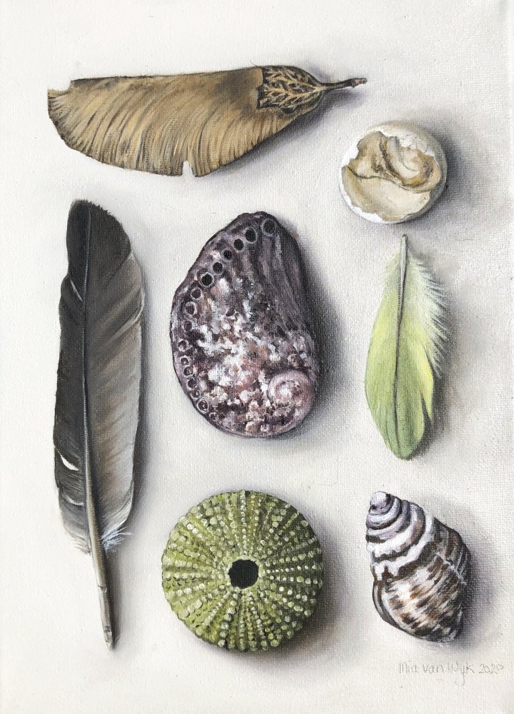 Mia van Wyk - Feathers and shells